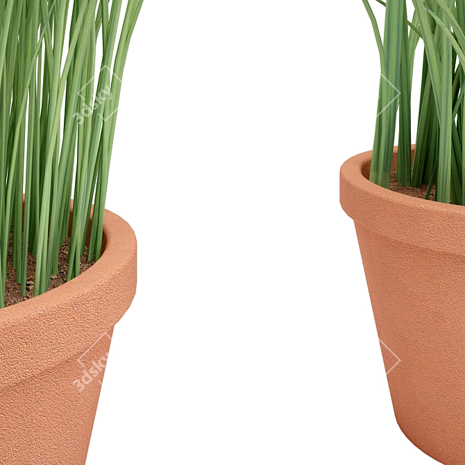 Leafy Terracotta Plant Duo 3D model image 2