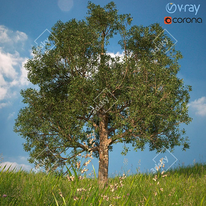 Realistic 3D Tree Model 3D model image 2