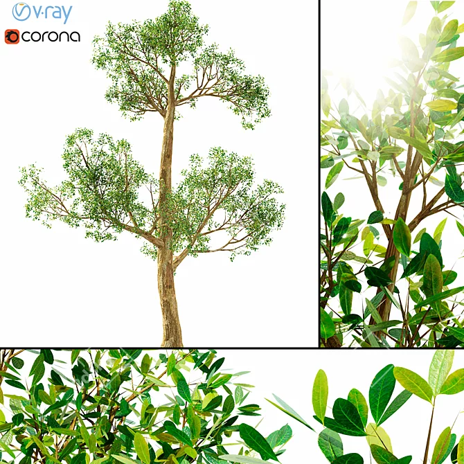 3D Tree Model with V-Ray and Corona Materials 3D model image 1