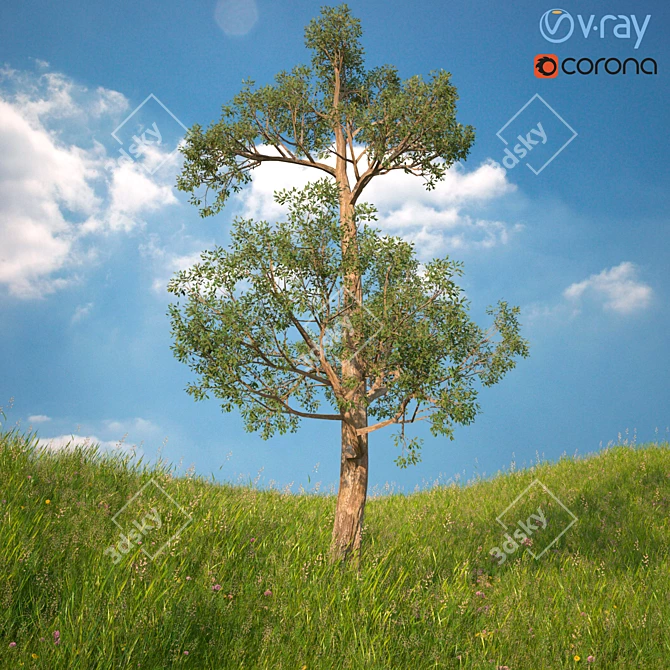 3D Tree Model with V-Ray and Corona Materials 3D model image 2