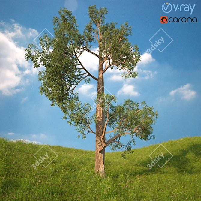 3D Tree Model No. 3: High-Quality, Versatile 3D model image 2