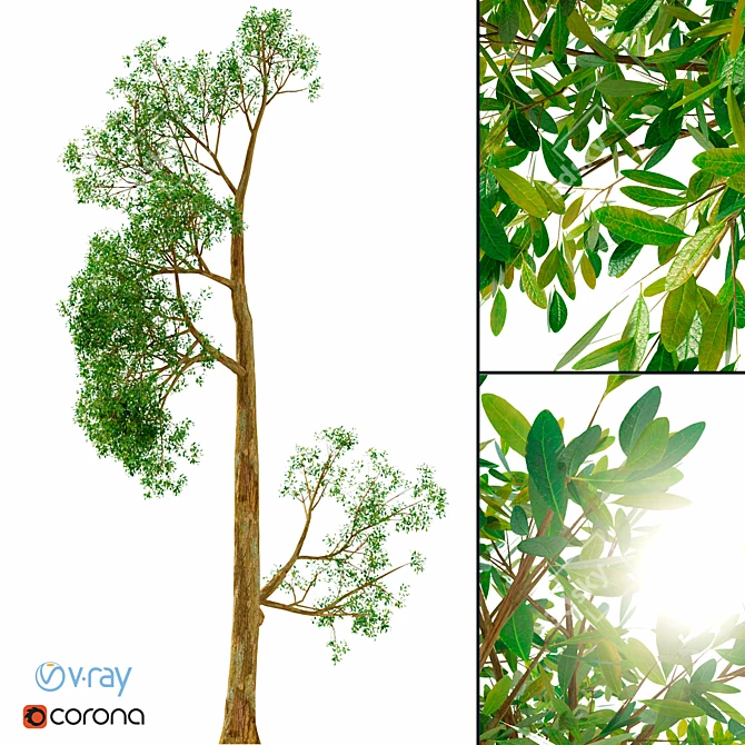 3D Tree Model No. 4: V-Ray, Corona Renderer & PBR 3D model image 1