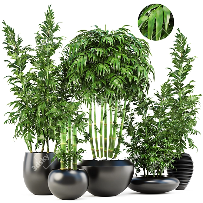 Exquisite Collection of Bamboo Trees 3D model image 1