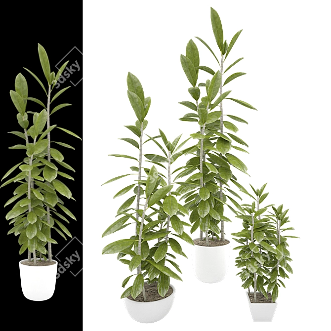 Versatile Trio of Vray-displaced Plants 3D model image 1