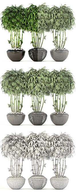 Exquisite Bamboo Trees Collection 3D model image 3