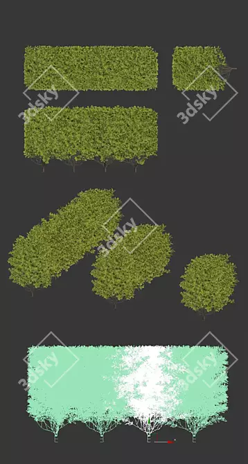 Versatile Ligustrum Hedge - 60cm Height 3D model image 2