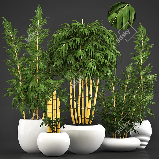 Golden Bamboo Trees: Elegant and Exotic 3D model image 1