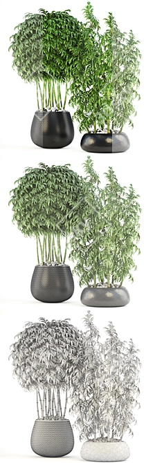 Lush Collection: Bamboo Trees 3D model image 3