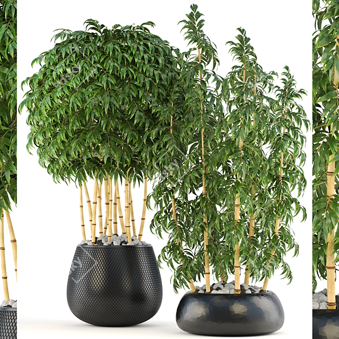Lush Golden Bamboo Collection: 136 Exquisite Trees 3D model image 1