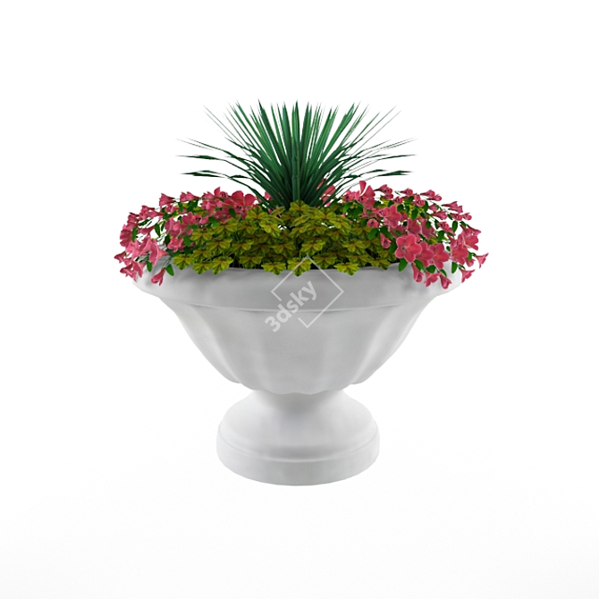 Classic Garden Ornamental Plant Composition 3D model image 2