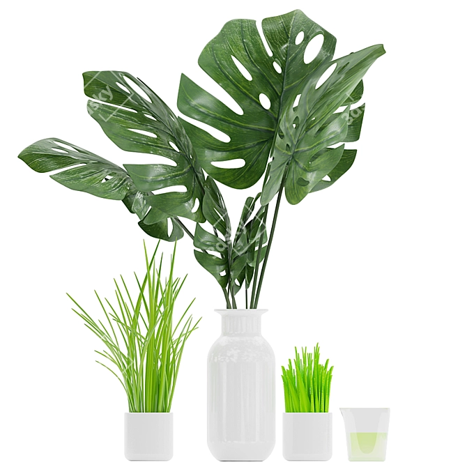 Tropical Indoor Plant Collection 3D model image 1