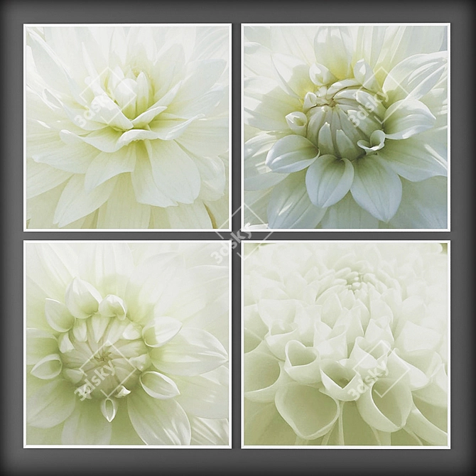 White Blossom Canvas Wall Art 3D model image 1
