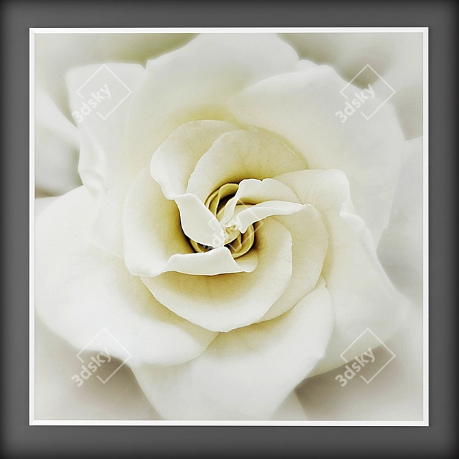 White Blossom Canvas Wall Art 3D model image 2