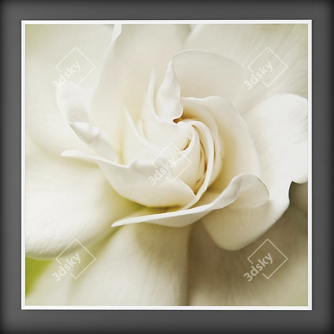 White Blossom Canvas Wall Art 3D model image 3