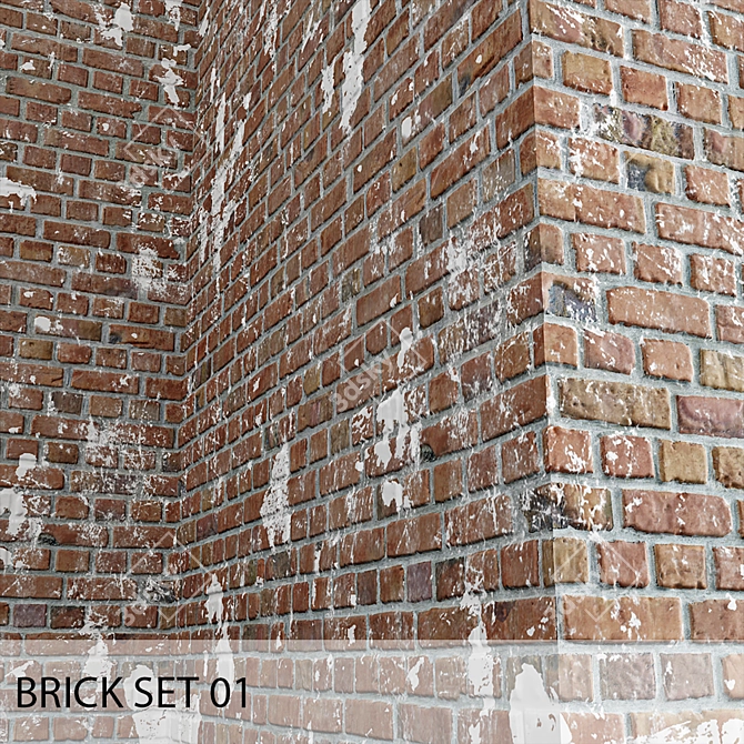 Brick Set 01
Unique Title: Weathered White Brick Set 3D model image 1