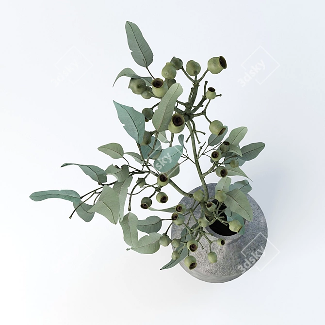 Elegant Eucalyptus Branch in Vase 3D model image 2