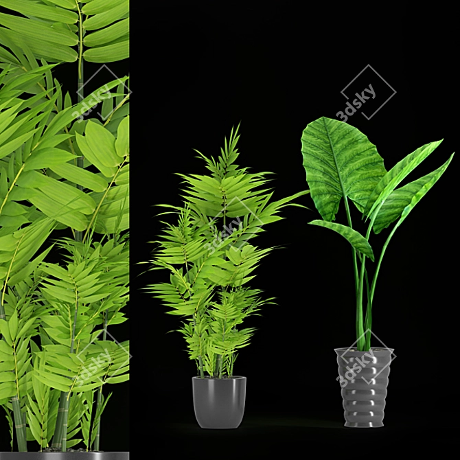 Tall and Beautiful Indoor Plant 3D model image 1