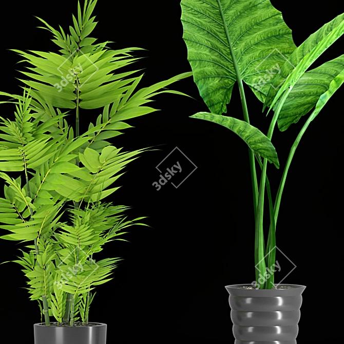 Tall and Beautiful Indoor Plant 3D model image 2