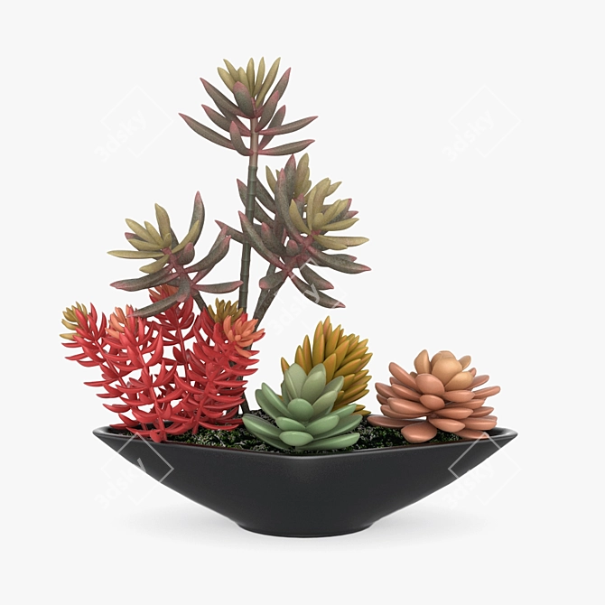 Modern Pot Plant Décor 3D model image 1