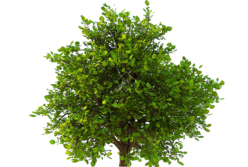 3D Bush No. 2 Model Kit 3D model image 2