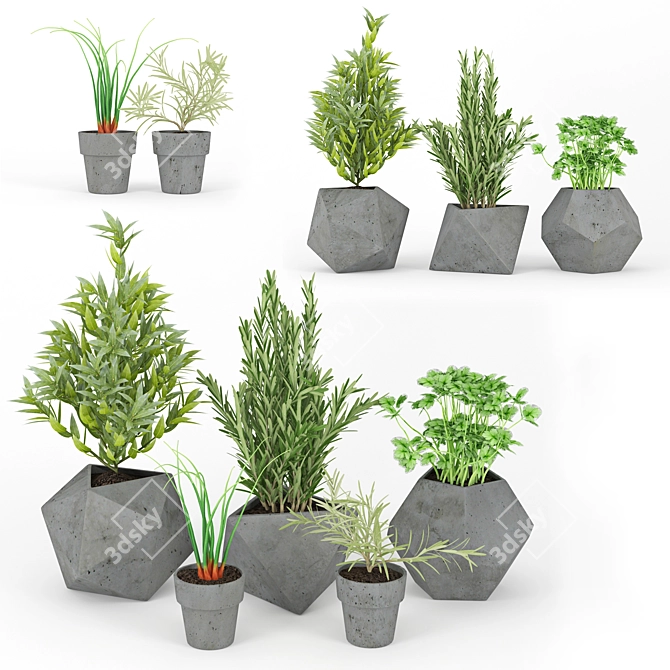 Modern Concrete Kitchen Plants 3D model image 1