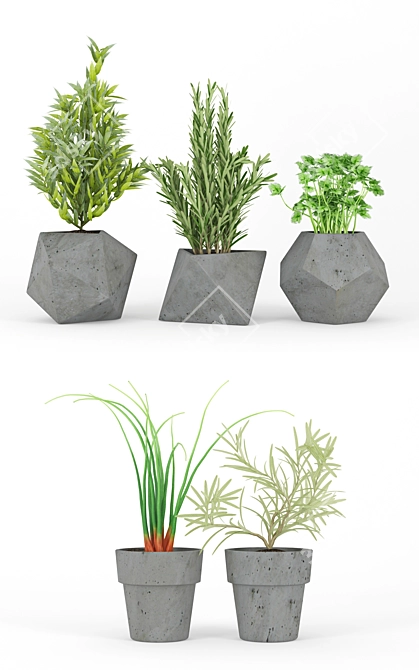 Modern Concrete Kitchen Plants 3D model image 2