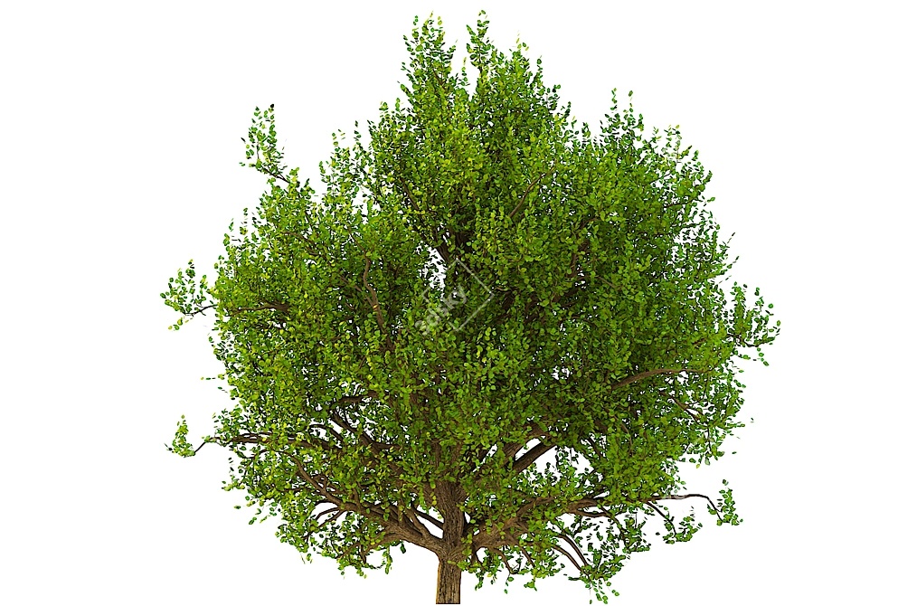 3D Model Bush No. 3: All Seasons 3D model image 2