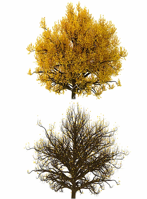 3D Model Bush No. 3: All Seasons 3D model image 3