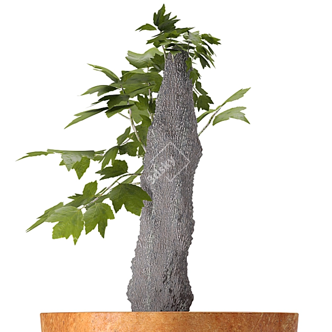 Lush 10 - 450mm Tall Plant 3D model image 2