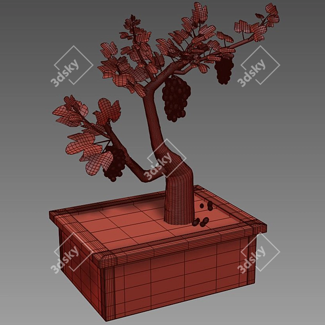 Grapes of Green: Indoor Plant 3D model image 3