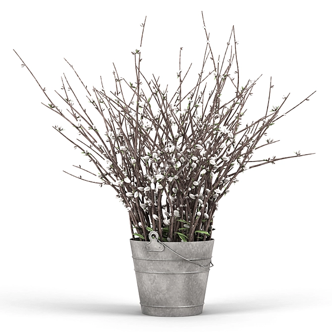 Silvery Willow Flowering Plant 3D model image 1