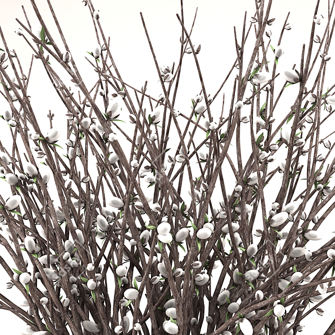 Silvery Willow Flowering Plant 3D model image 2