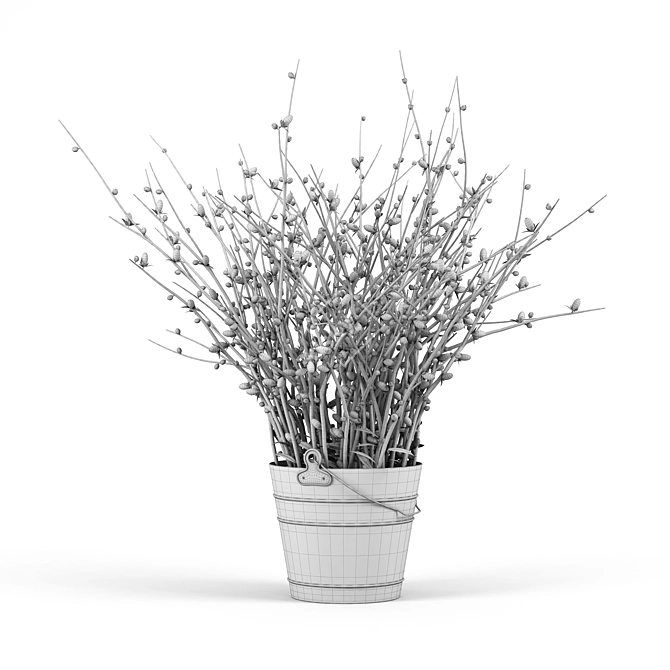 Silvery Willow Flowering Plant 3D model image 3