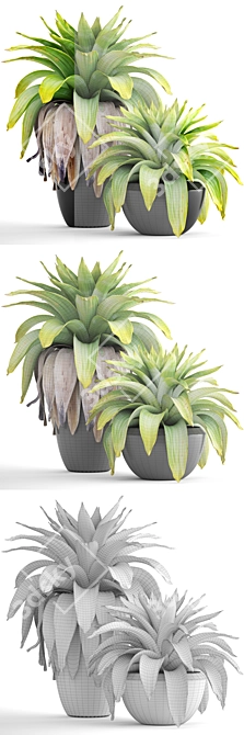 Tropical Jungle Collection: 144 Exotic Plants 3D model image 3