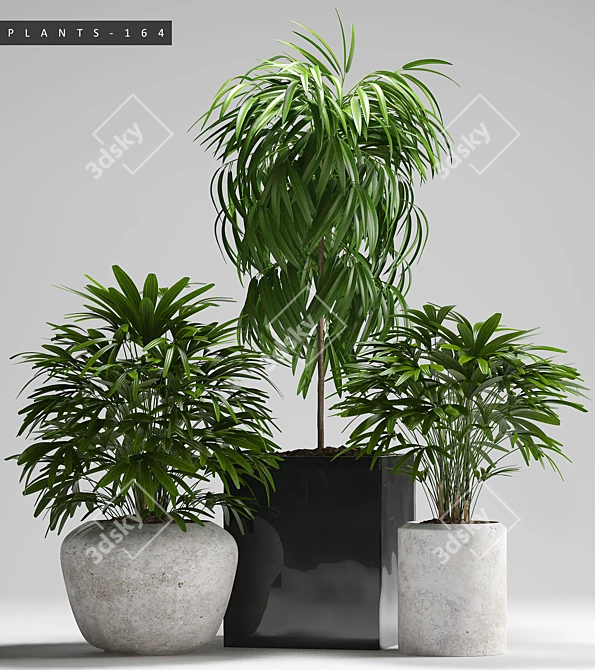 Lush Greenery Collection 3D model image 2