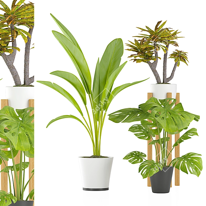 Tropical Plant Trio with Stylish Pots 3D model image 1