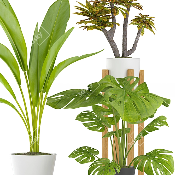 Tropical Plant Trio with Stylish Pots 3D model image 2