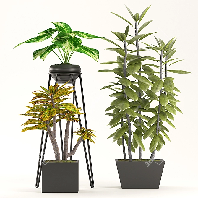 Green Oasis - Indoor Plant Trio 3D model image 1