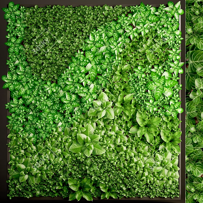 Green Wall Module: Vertical Garden 6 3D model image 1