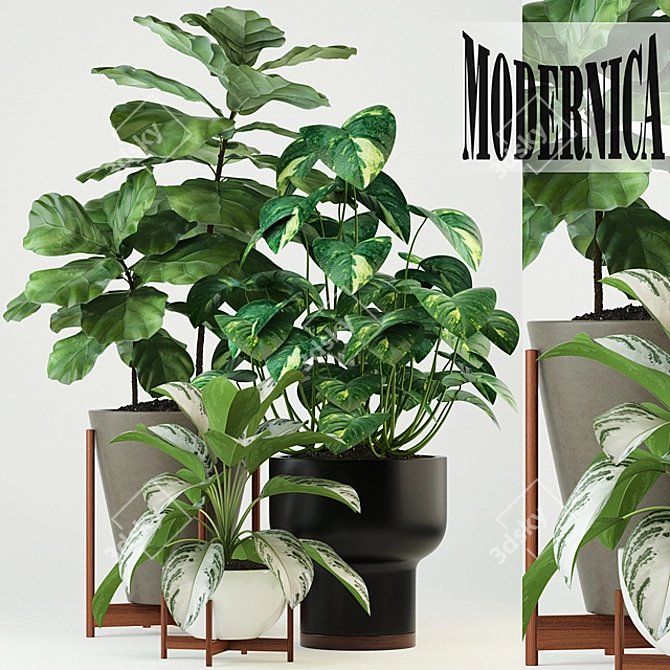 Modernica Pots Collection: 74 Stylish Plant Holders 3D model image 1