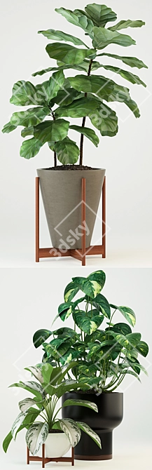 Modernica Pots Collection: 74 Stylish Plant Holders 3D model image 2