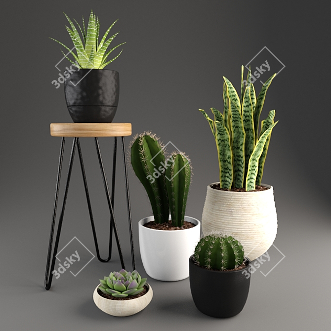 Desert Dreams: Cactus Set 3D model image 1