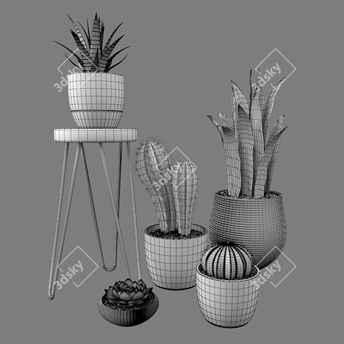 Desert Dreams: Cactus Set 3D model image 3