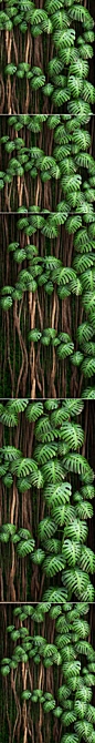 Monstera Fytowall: Vertical Garden Masterpiece 3D model image 2