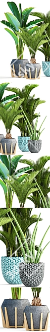 Tropical Plant Collection: Ravenala, Sansevieria, Palm 3D model image 2