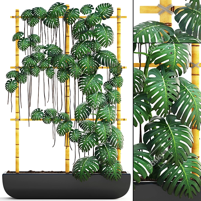 Monstera Vertical Garden: Decorative Bush in Pot 3D model image 1