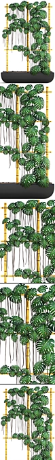 Monstera Vertical Garden: Decorative Bush in Pot 3D model image 2