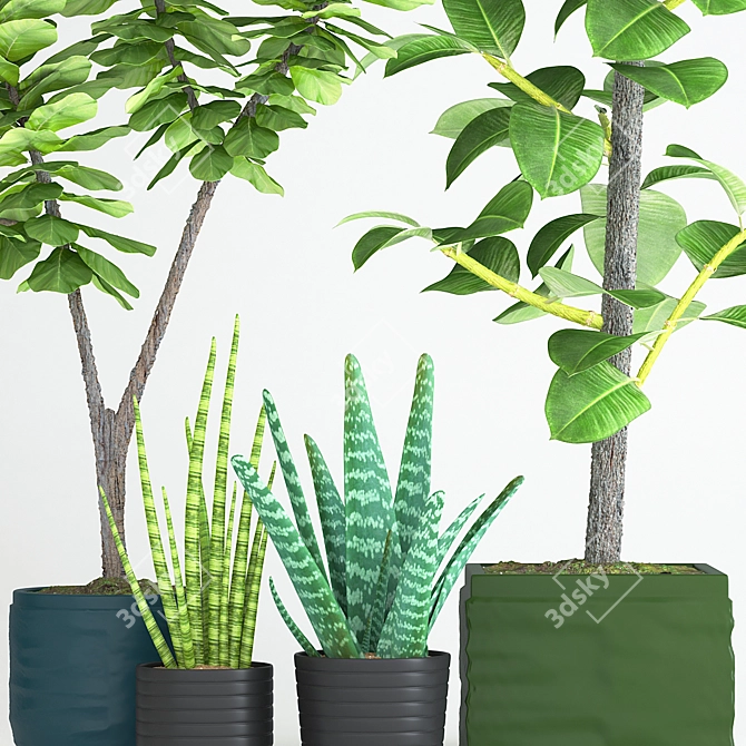 Indoor Plant Collection with Variety of Pots 3D model image 2