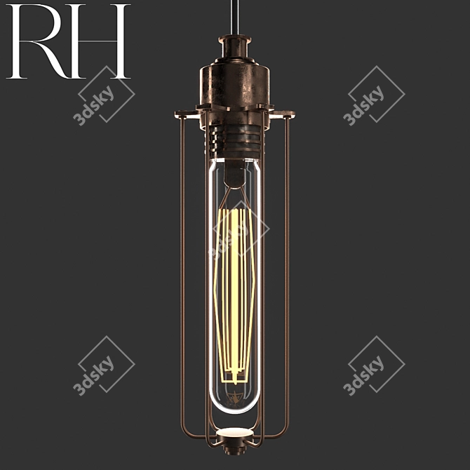 Vintage Industrial Edison Cage Pendant 3D model image 1