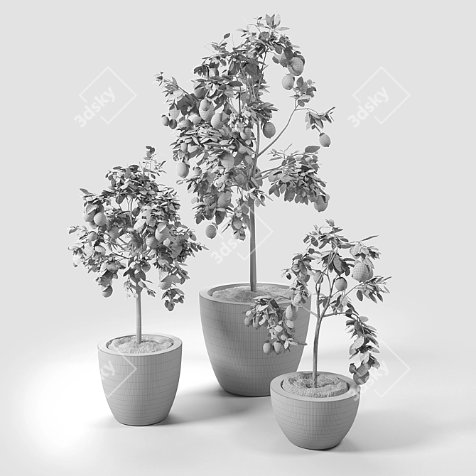 Citrus Trio: Lime & Lemon Trees 3D model image 2